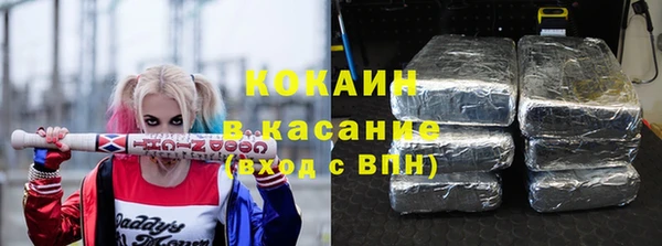 мяу мяу мука Бородино