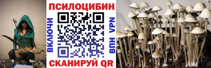 где купить наркоту  Норильск  Галлюциногенные грибы мухоморы 